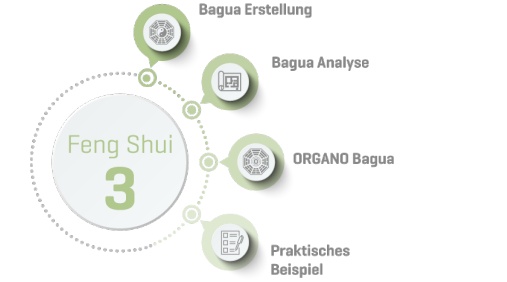 ORGANO Feng Shui 3