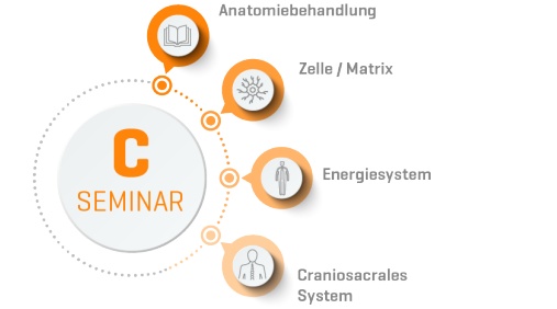 Organetik Seminar C