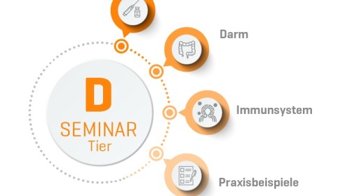 Organetik Tier Seminar D