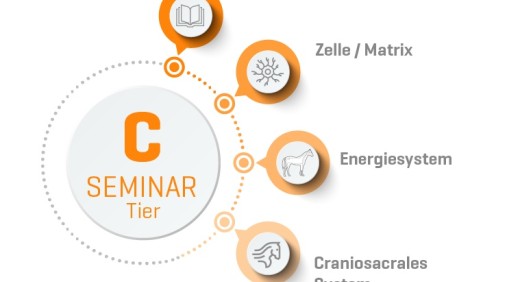 Organetik Tier Seminar C